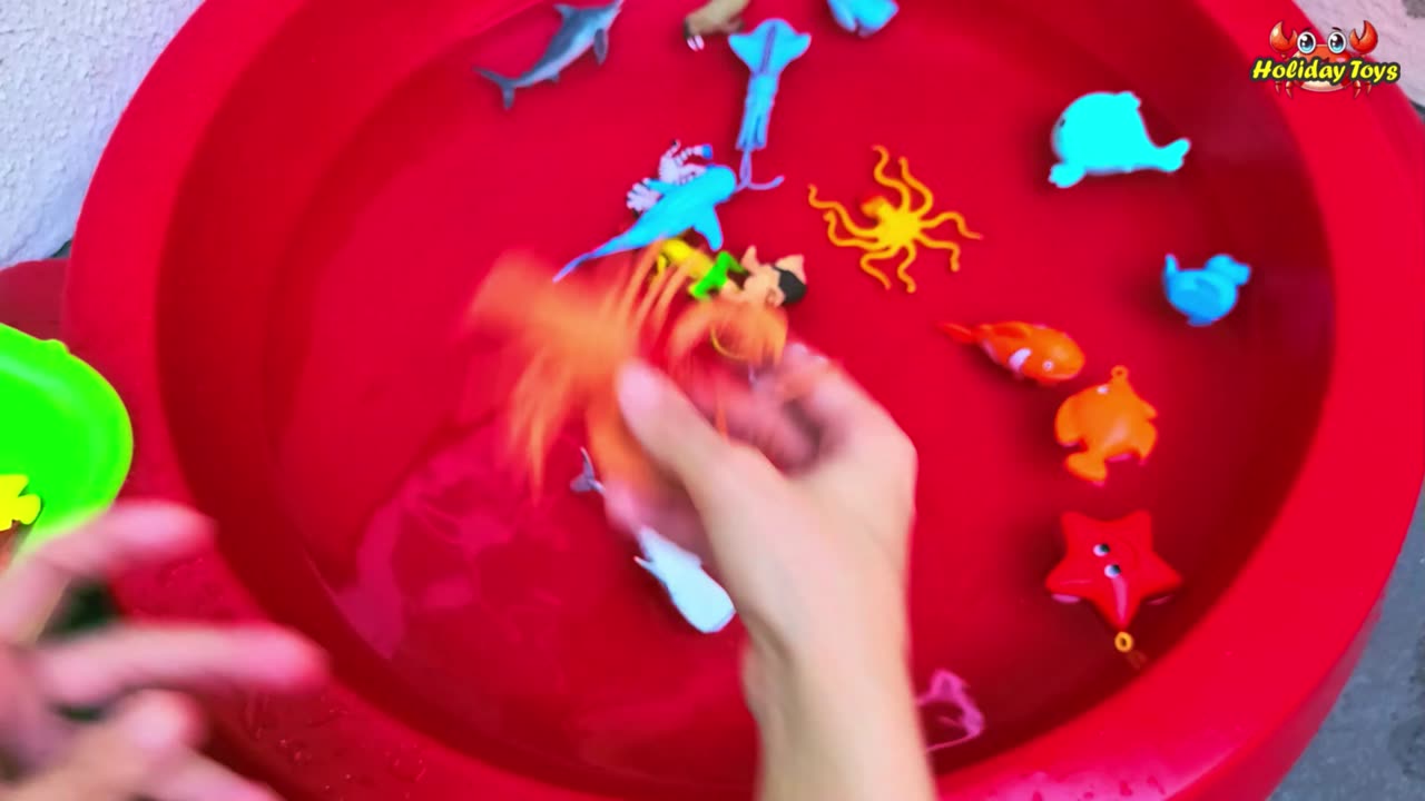 Sea Snake is Very Venomous but Shy When Meet Other Animals