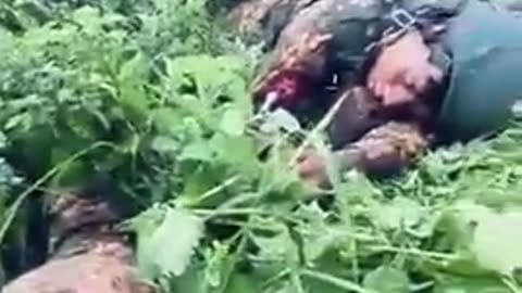 🪖🌿 Myanmar War | KNDF Dismantles Junta Column Near Loikaw | RCF