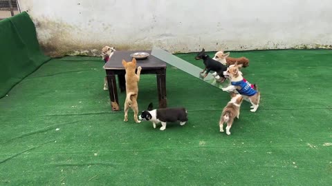 Fun video