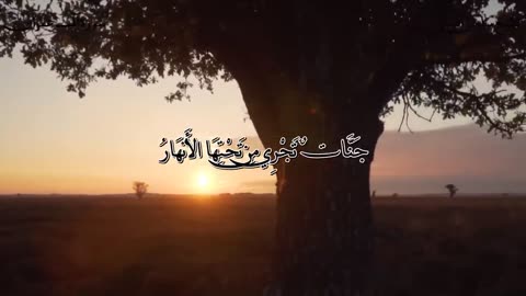 تلاوة لا توصف _ للشيخ سلمان العتيبي