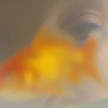 Goldfish Memory Myth Busted!