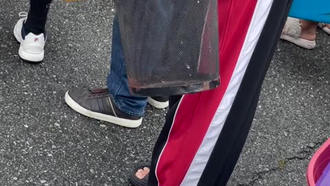 Odd Choice For Water Collection