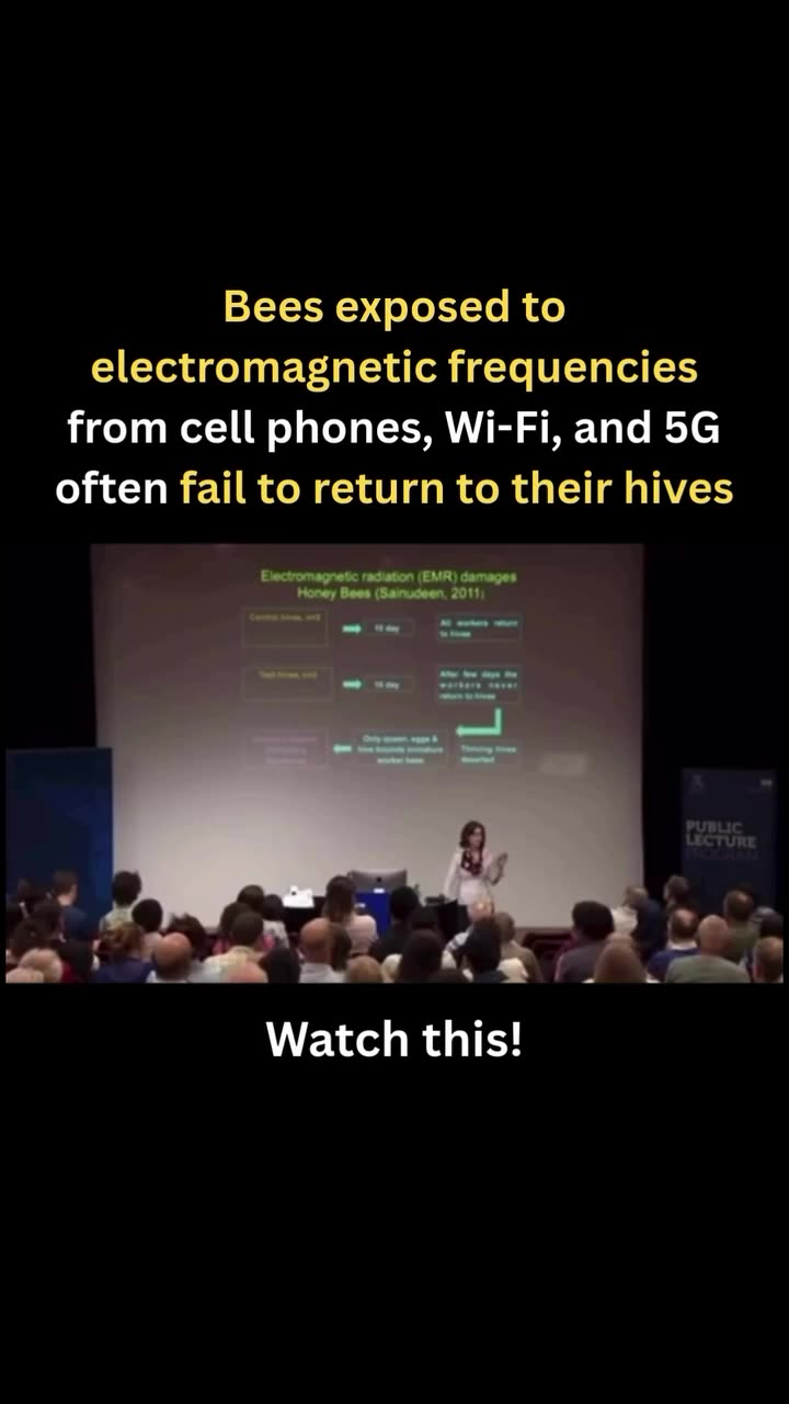 ...mobile phone radiation for 10 days caused worker bees to abandon their hive entirely