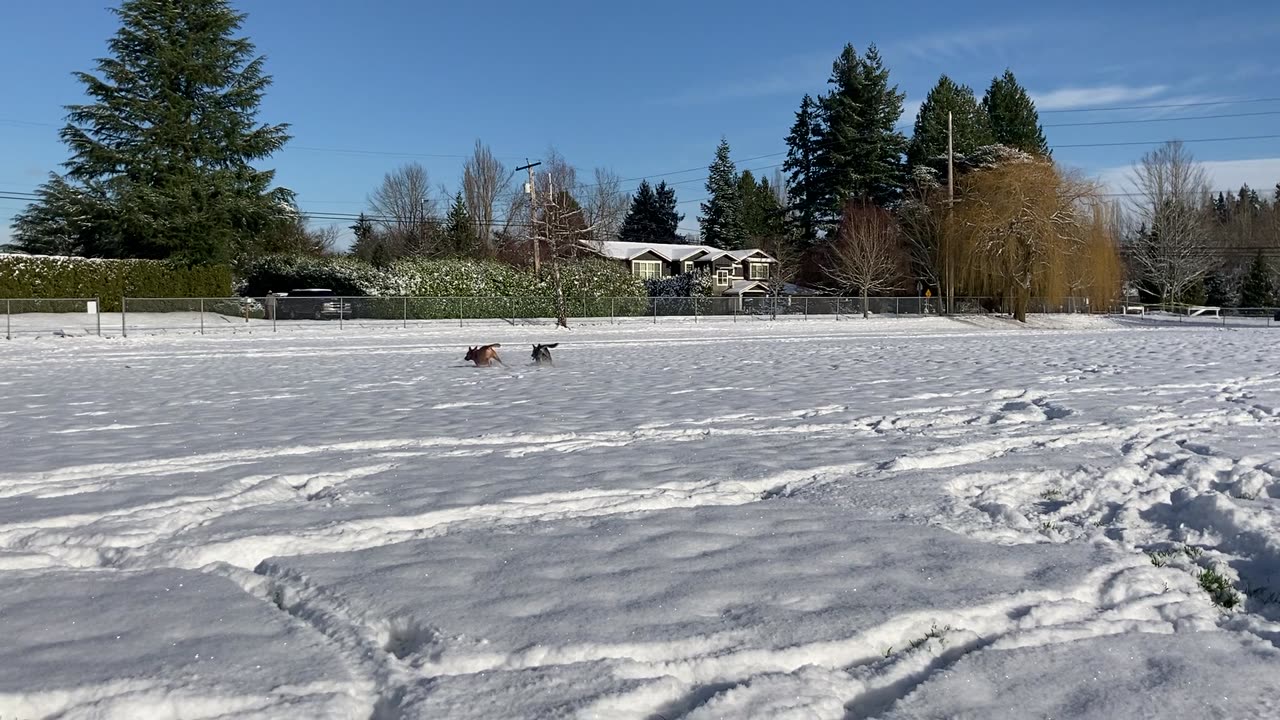 snow patrol 329843209840398