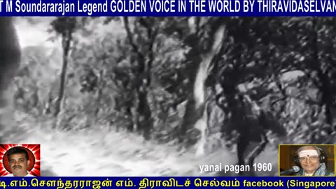 Old Is Gold (evergreen) T M Soundararajan Legend Vol 181 Yanai Pagan