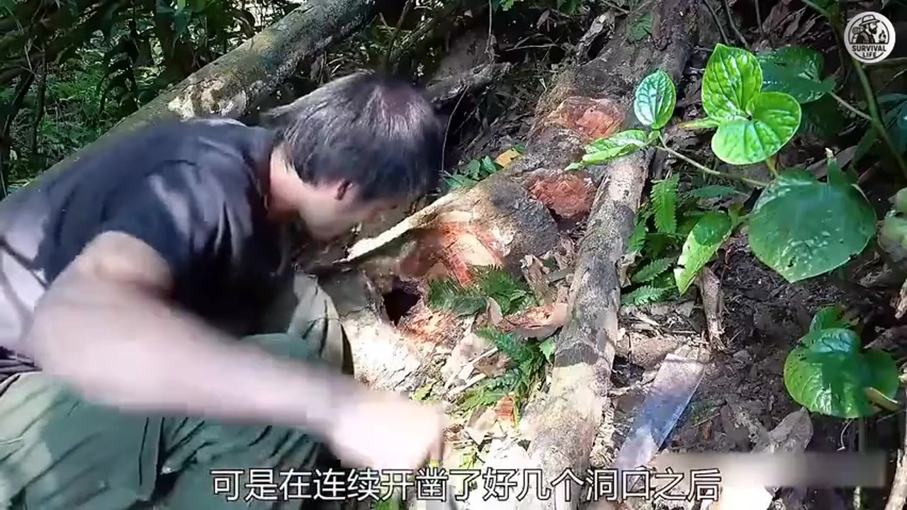 Silent Forest Work with Dark Remix Music