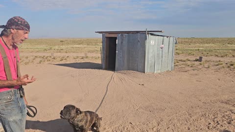 Negative Punishment to Stop Dog Jumping