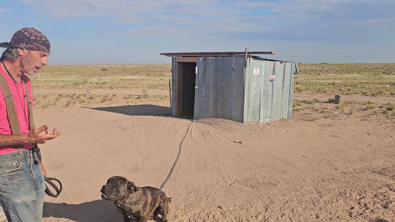 Negative Punishment to Stop Dog Jumping