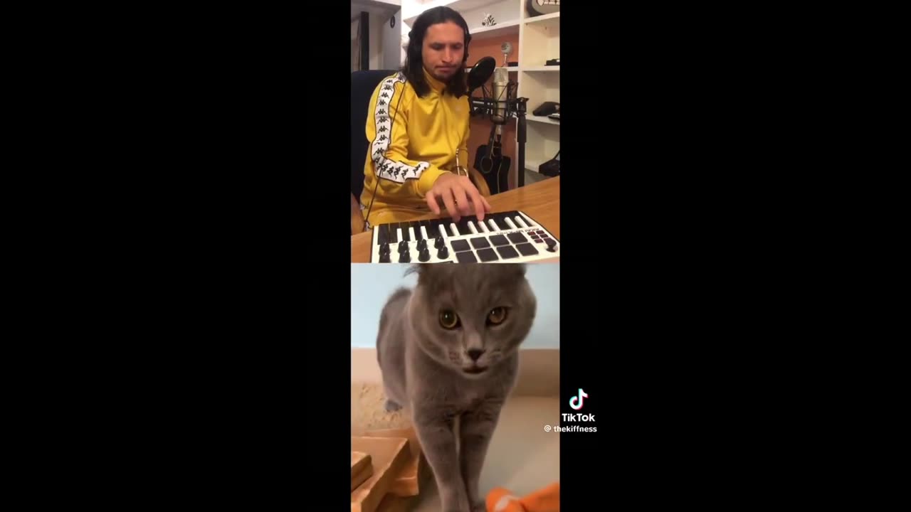 Quick Smile: The most viral Cat 🐱 song