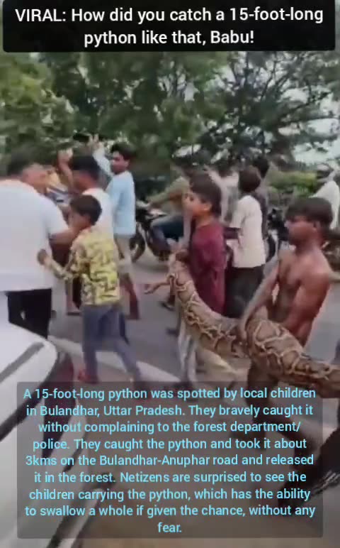 VIRAL: How did you catch a 15-foot-long python like that, Babu!