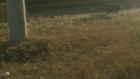 Slowing Commuter |