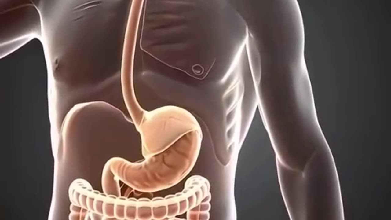 what happens if you drink tea on an empty stomach