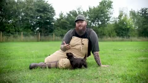 Amazing: How To Stop Puppy Biting Instantly