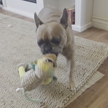 Love to Destroy my Toys