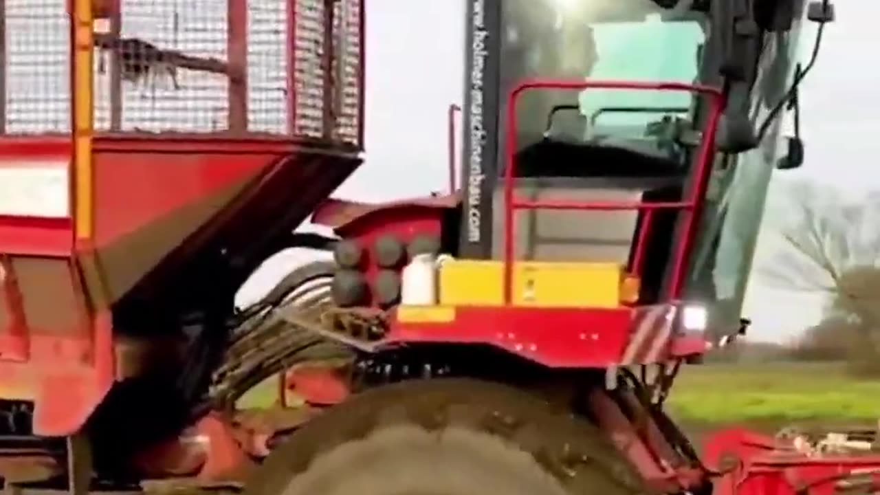 #harvesting #sugarbeet #agriculture #shorts