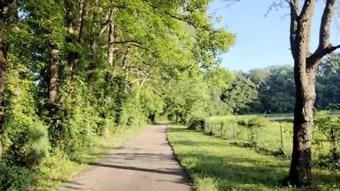 Joe Ford Nature Center