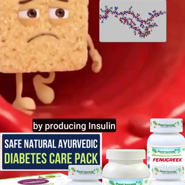 Sugar & Brain Talk on Diabetes, Insulin Resistance, Fatty Liver,