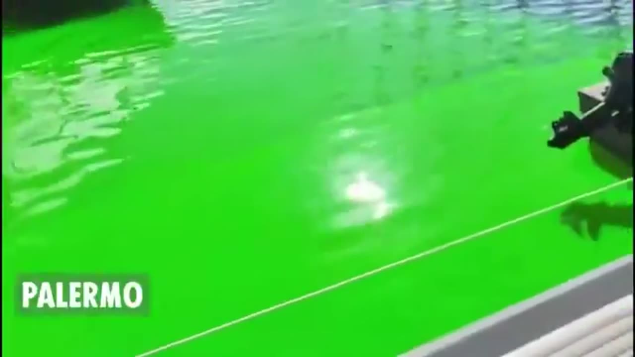 Greta Thunberg has been banned from Venice for two days and fined €150