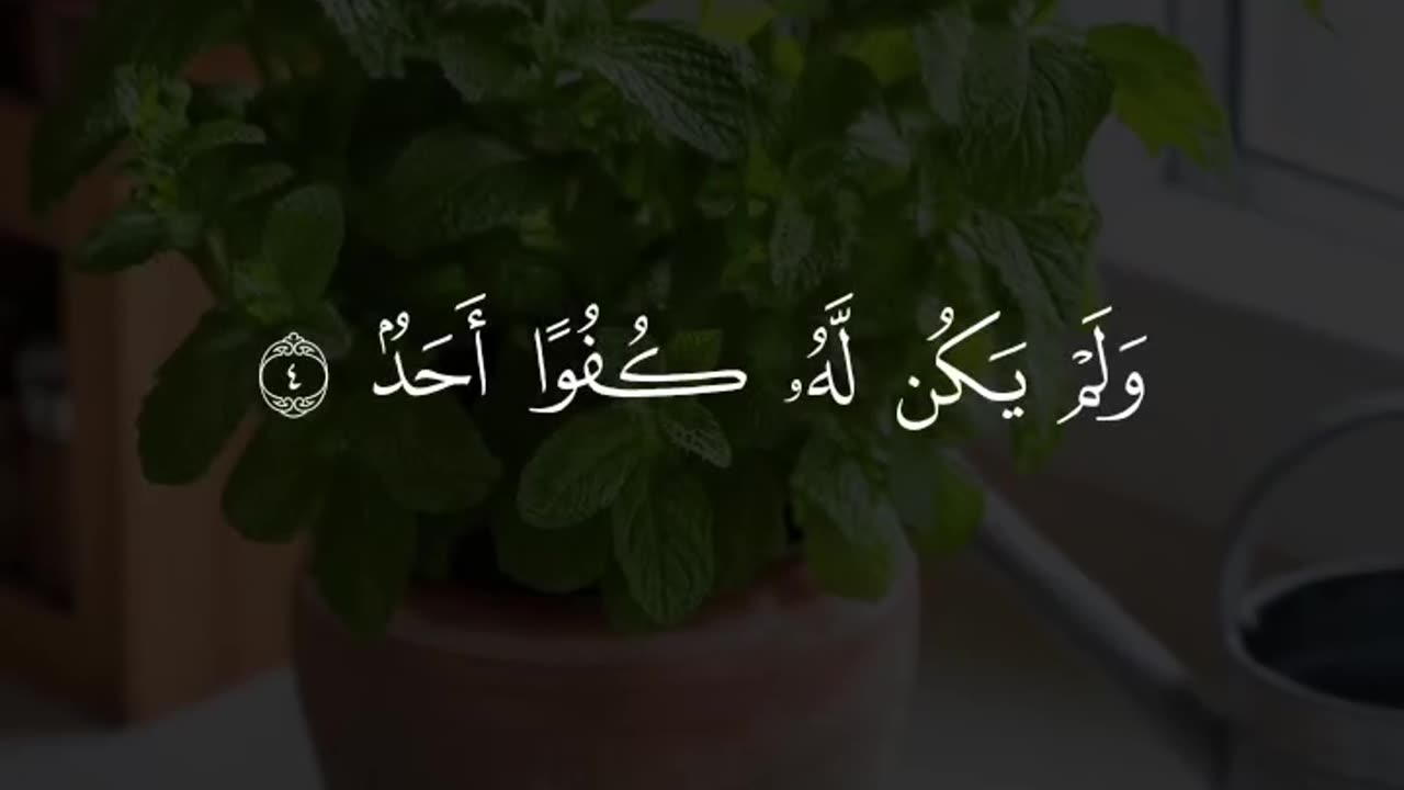 Beautiful video