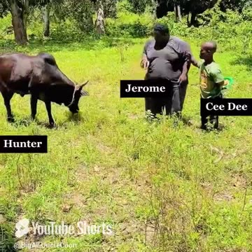 BIG AL IS SICK OF THESE CLOWNS!!!