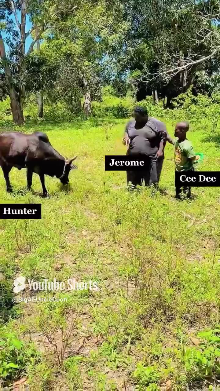 BIG AL IS SICK OF THESE CLOWNS!!!