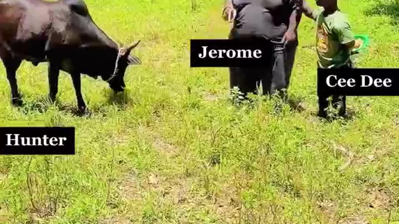 BIG AL IS SICK OF THESE CLOWNS!!!