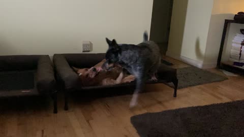 rare moment of affection