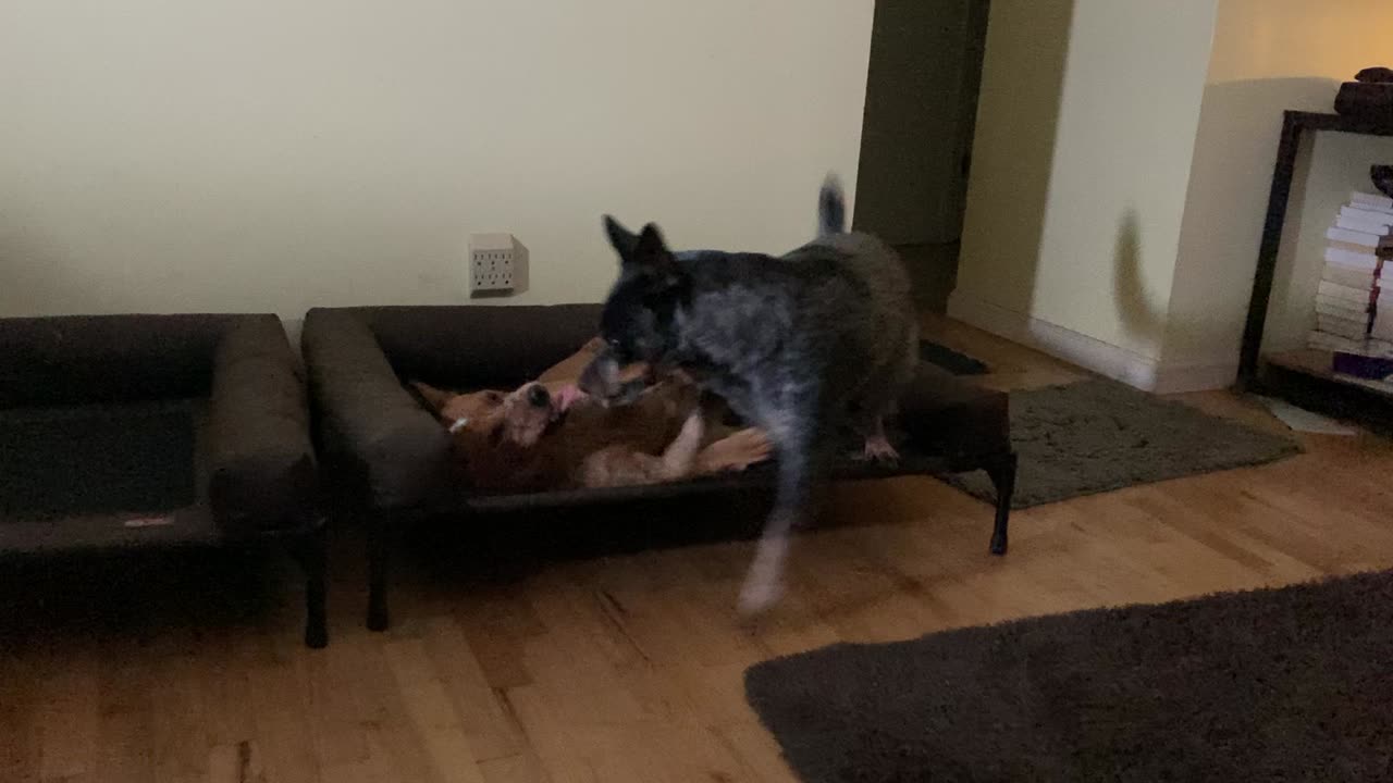 rare moment of affection