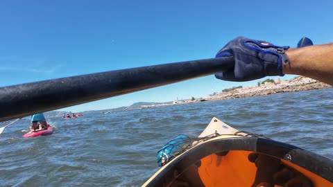 Kayak on The South Side, PT - Margem Sul, S02E10 DESCIDA DO SADO 14th Sept 2025 Part 20