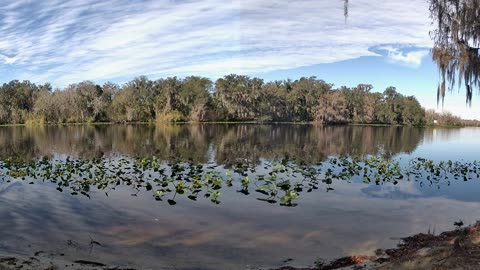 Riverview Time-Lapse: St. John’s Tranquil Tides (Jan 17, 2026)
