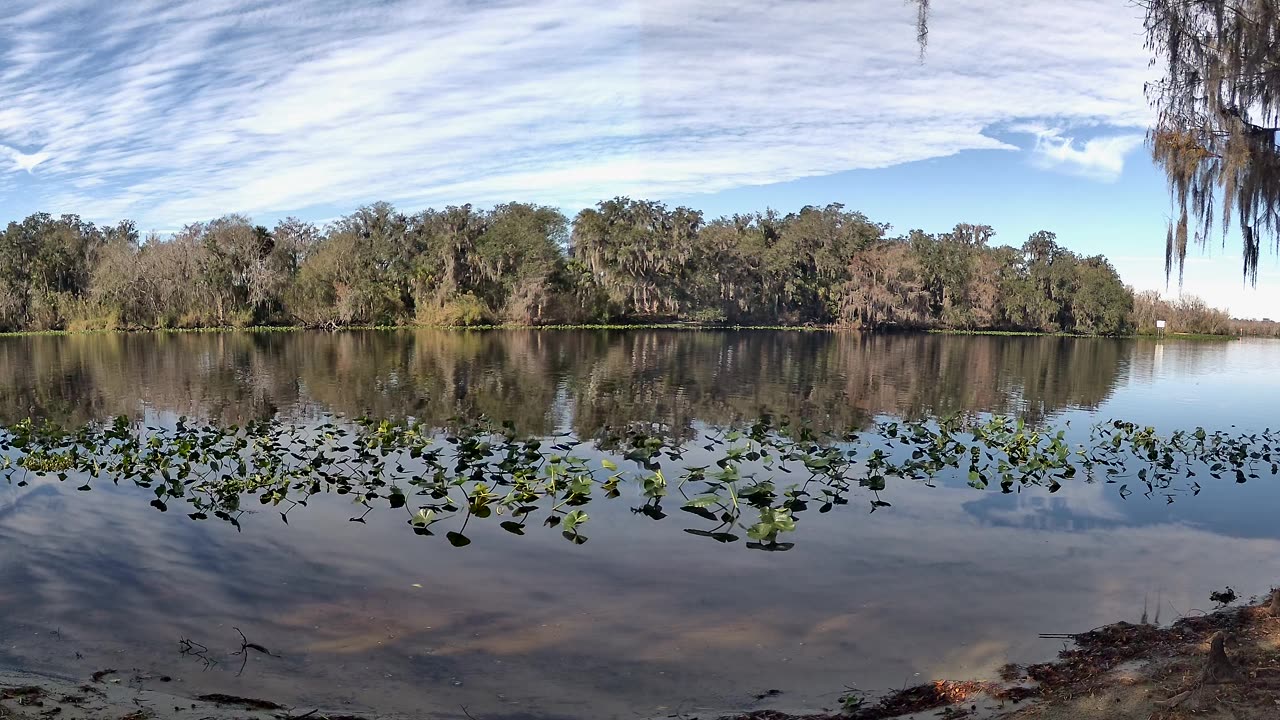 Riverview Time-Lapse: St. John’s Tranquil Tides (Jan 17, 2026)