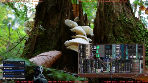 VCV Rack Ambient & Meditative Sound - for 🙏 Inner 🕉 Peace ☮ SFW