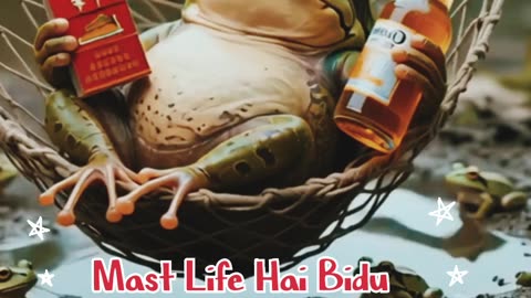 Enjoy life