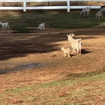 Don't start dinner without US!!!!