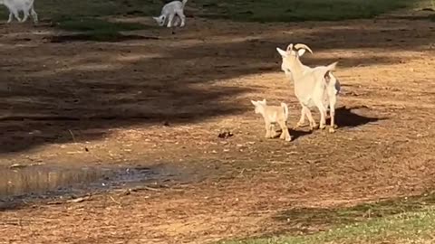 Don't start dinner without US!!!!