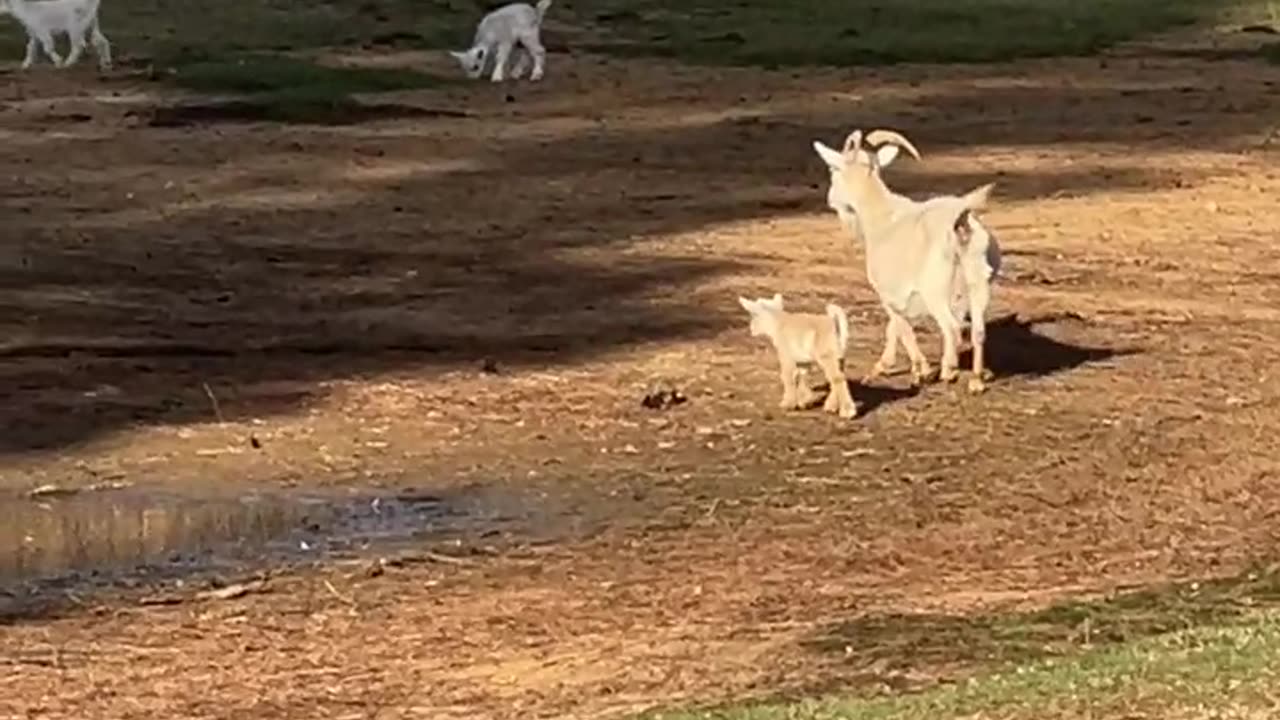 Don't start dinner without US!!!!