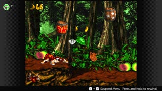 100 Follower Special! Going to 100% The DKC Trilogy on stream!