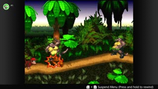 100 Follower Special! Going to 100% The DKC Trilogy on stream!
