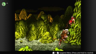 100 Follower Special! Going to 100% The DKC Trilogy on stream!