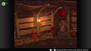 100 Follower Special! Going to 100% The DKC Trilogy on stream!