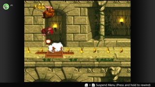 100 Follower Special! Going to 100% The DKC Trilogy on stream!