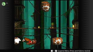 100 Follower Special! Going to 100% The DKC Trilogy on stream!