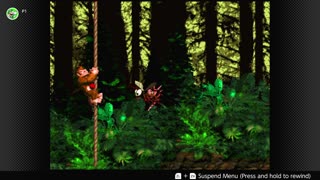 100 Follower Special! Going to 100% The DKC Trilogy on stream!