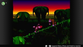 100 Follower Special! Going to 100% The DKC Trilogy on stream!