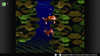 100 Follower Special! Going to 100% The DKC Trilogy on stream!