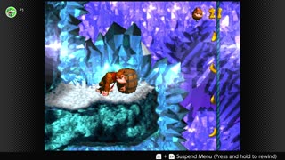 100 Follower Special! Going to 100% The DKC Trilogy on stream!