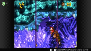 100 Follower Special! Going to 100% The DKC Trilogy on stream!