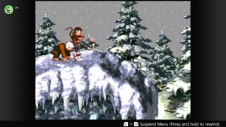 100 Follower Special! Going to 100% The DKC Trilogy on stream!