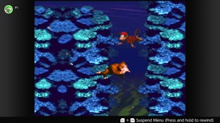 100 Follower Special! Going to 100% The DKC Trilogy on stream!