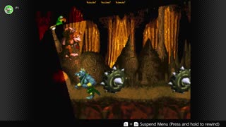 100 Follower Special! Going to 100% The DKC Trilogy on stream!